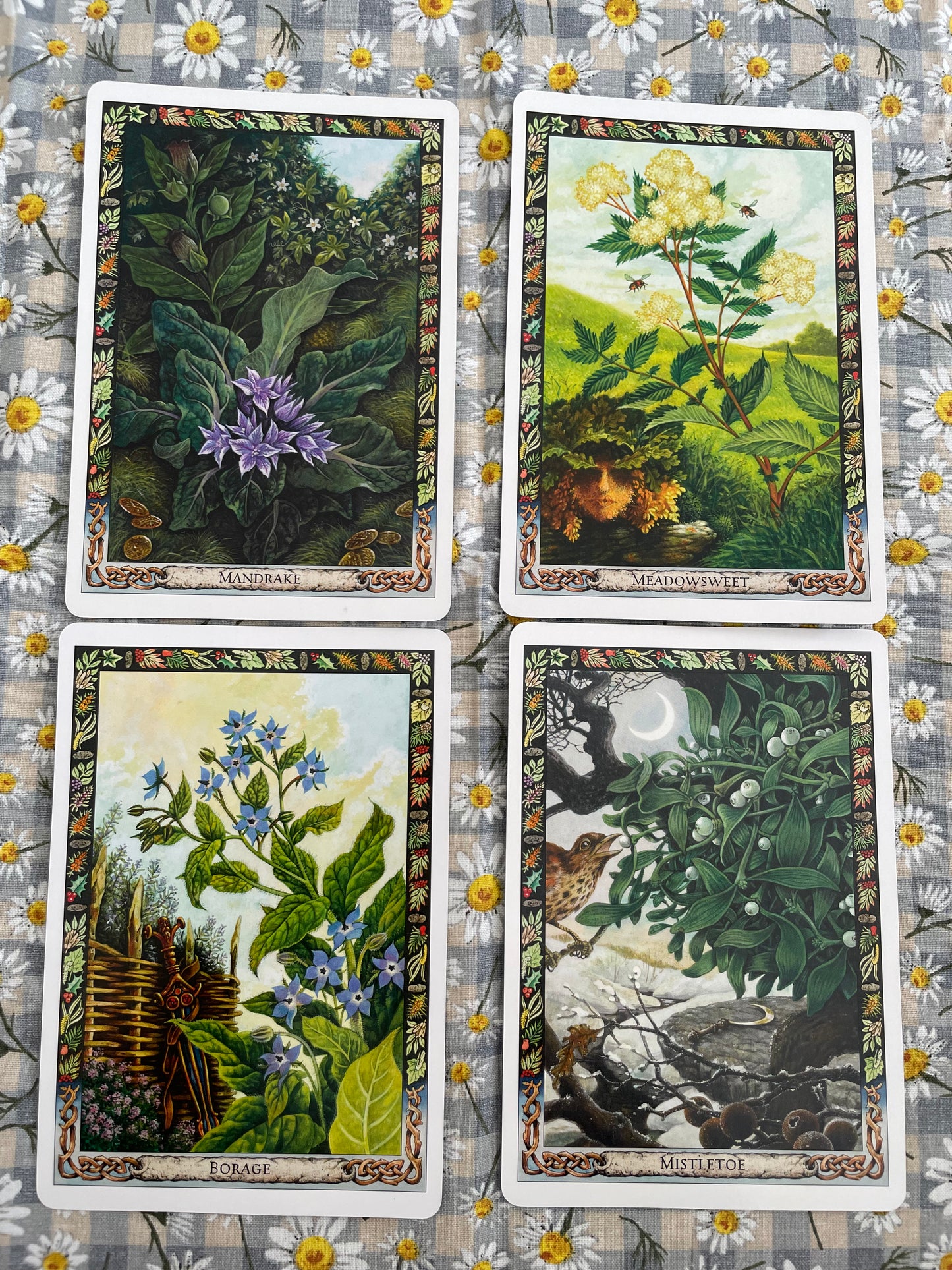 The Druid Plant Oracle: Working with the Magical Flora of the Druid Tradition