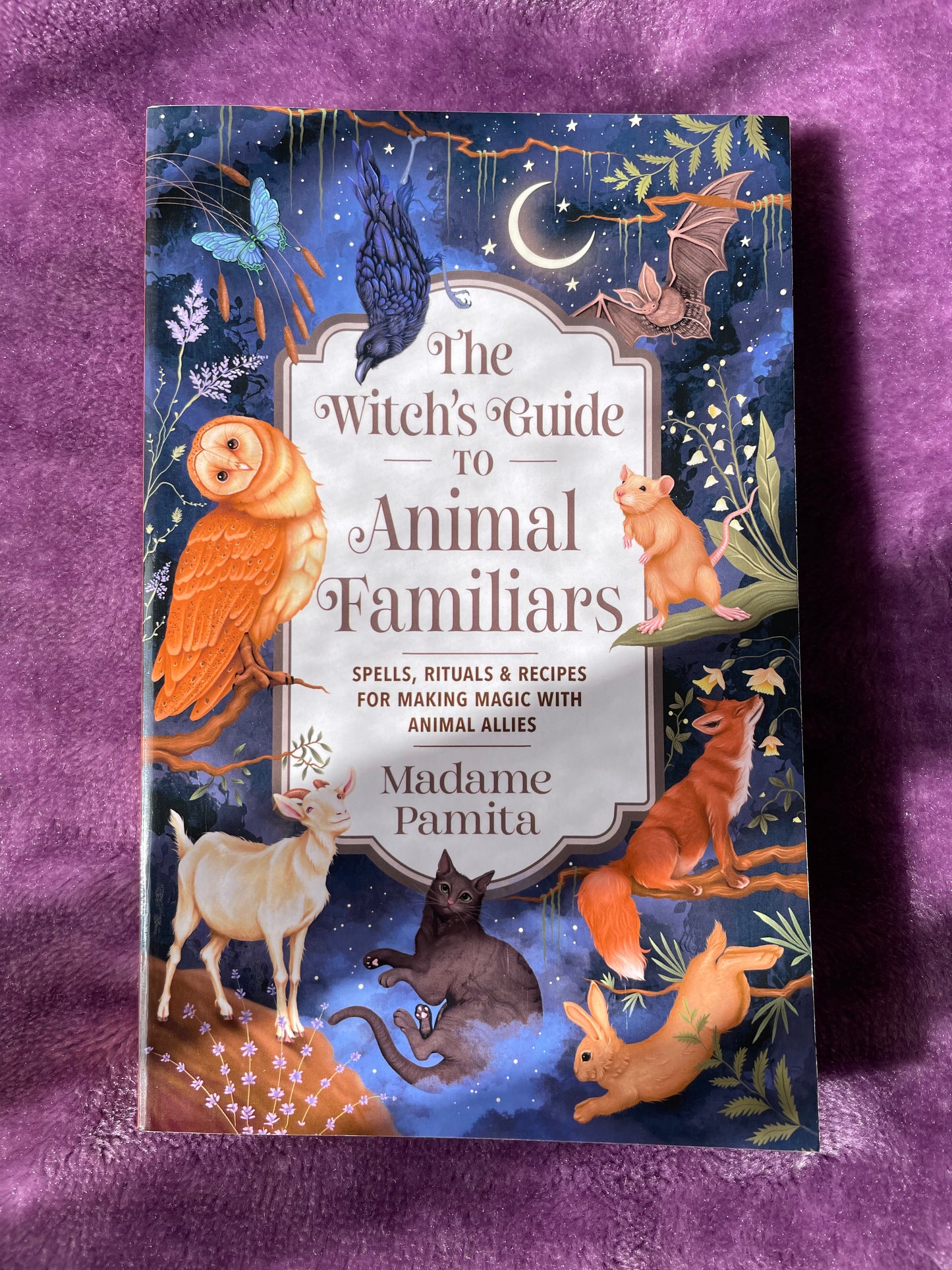 The Witch's Guide to Animal Familiars: Spells, Rituals & Recipes for Making Magic with Animal Allies