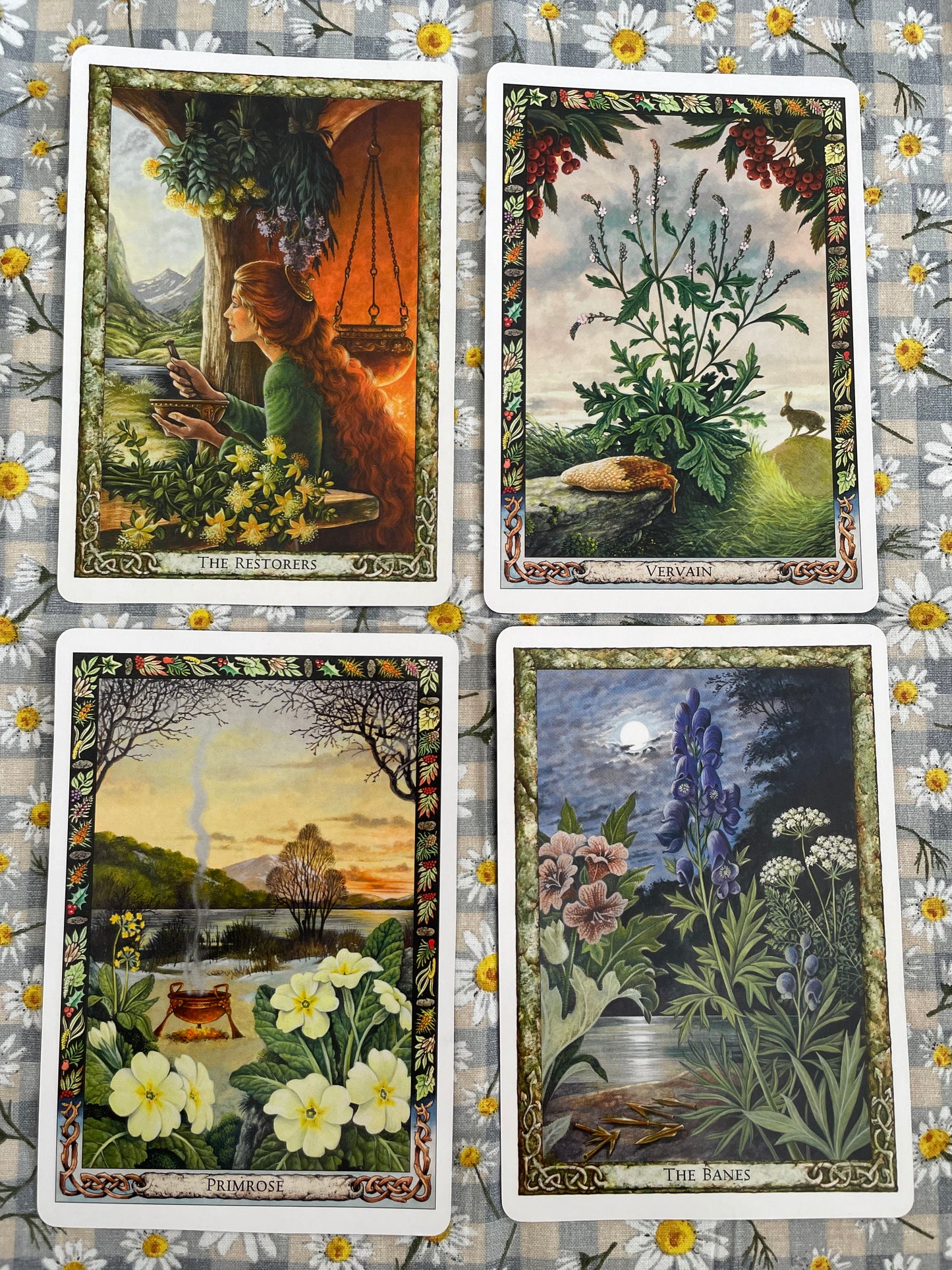 The Druid Plant Oracle: Working with the Magical Flora of the Druid Tradition