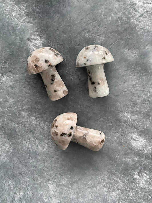Kiwi Jasper Mini Mushrooms