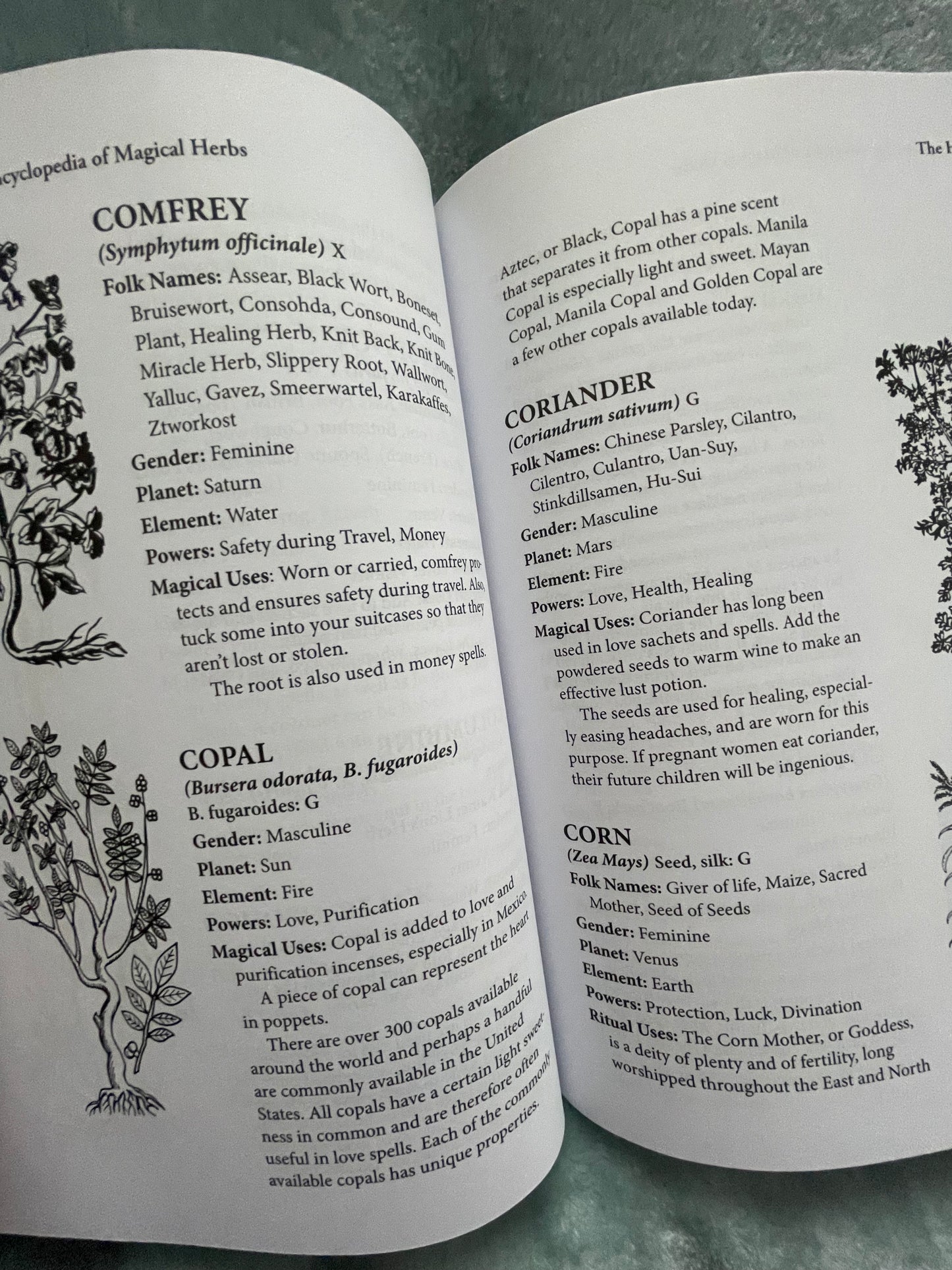 Cunningham's Encyclopedia Magical Herbs