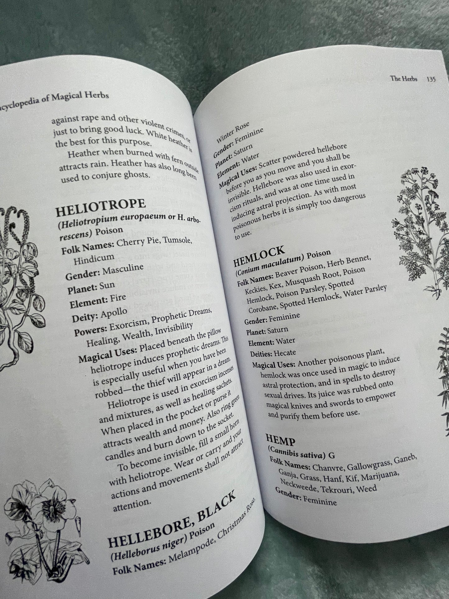 Cunningham's Encyclopedia Magical Herbs