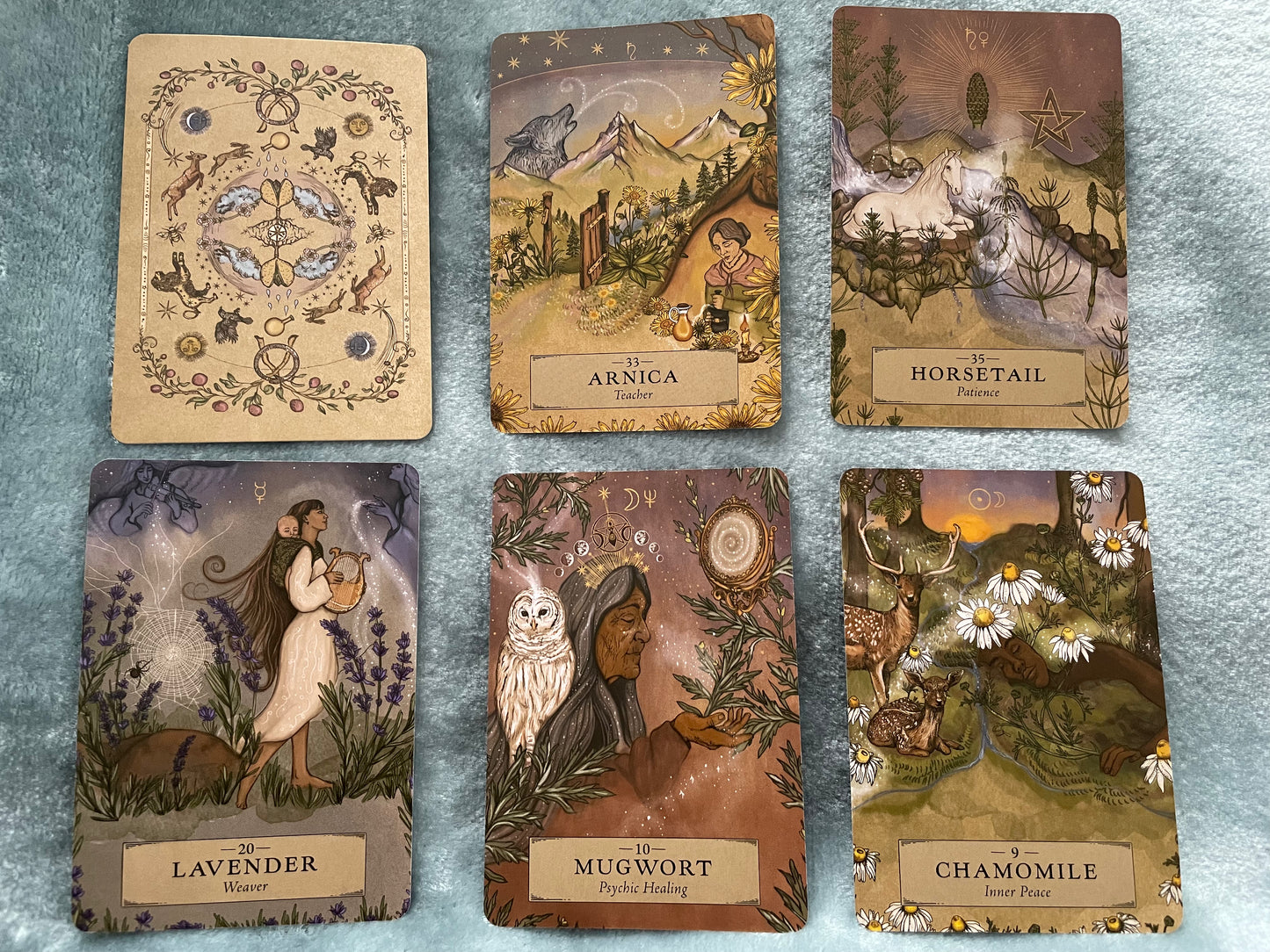 The Herbal Astrology Oracle: A 55-Card Deck and Guidebook